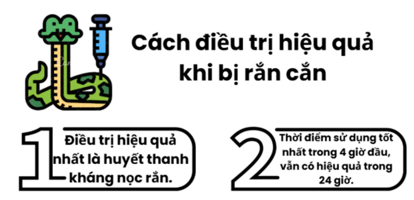 3. Điều trị bằng huyết thanh kháng nọc